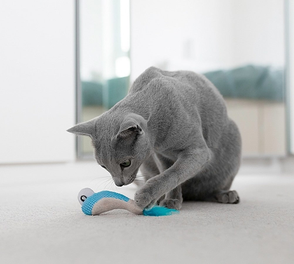 *S.O. - Up to 2 Week Wait* Petstages - Dental Shrimpies Cat Toy - 18CM (7.1in) - 2PK