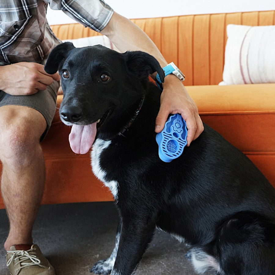 LocalID_70637 Kong - Zoom Groom Soft Puppy Curry Brush - BOYSENBERRY - 10CM (3.75in)