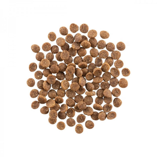 LocalID_64897 Petcurean - GO! Carnivore SALMON and COD Dry Cat Food - 1.36KG (3lb)