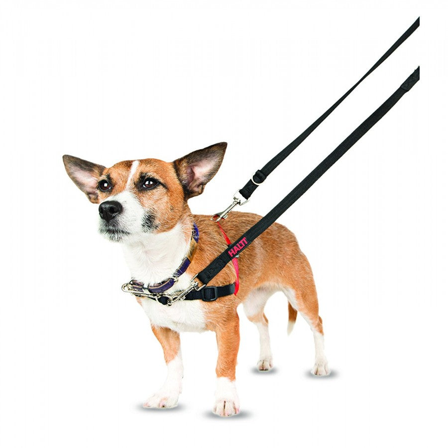 LocalID_15723 A Company of Animals - Halti Harness - Black/Red - Small Dog