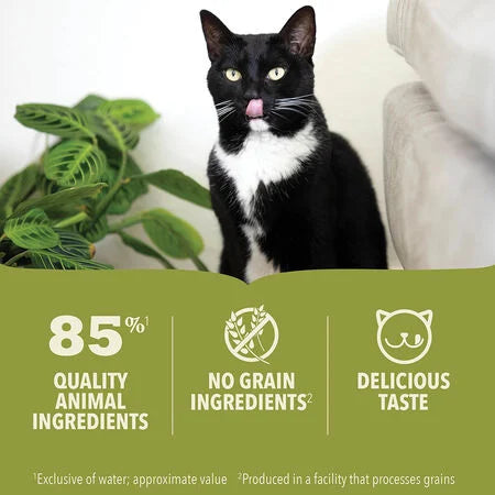 LocalID_65117 Champion Foods - Acana CHICKEN in Bone Broth Wet Cat Food - 85GM (3oz)