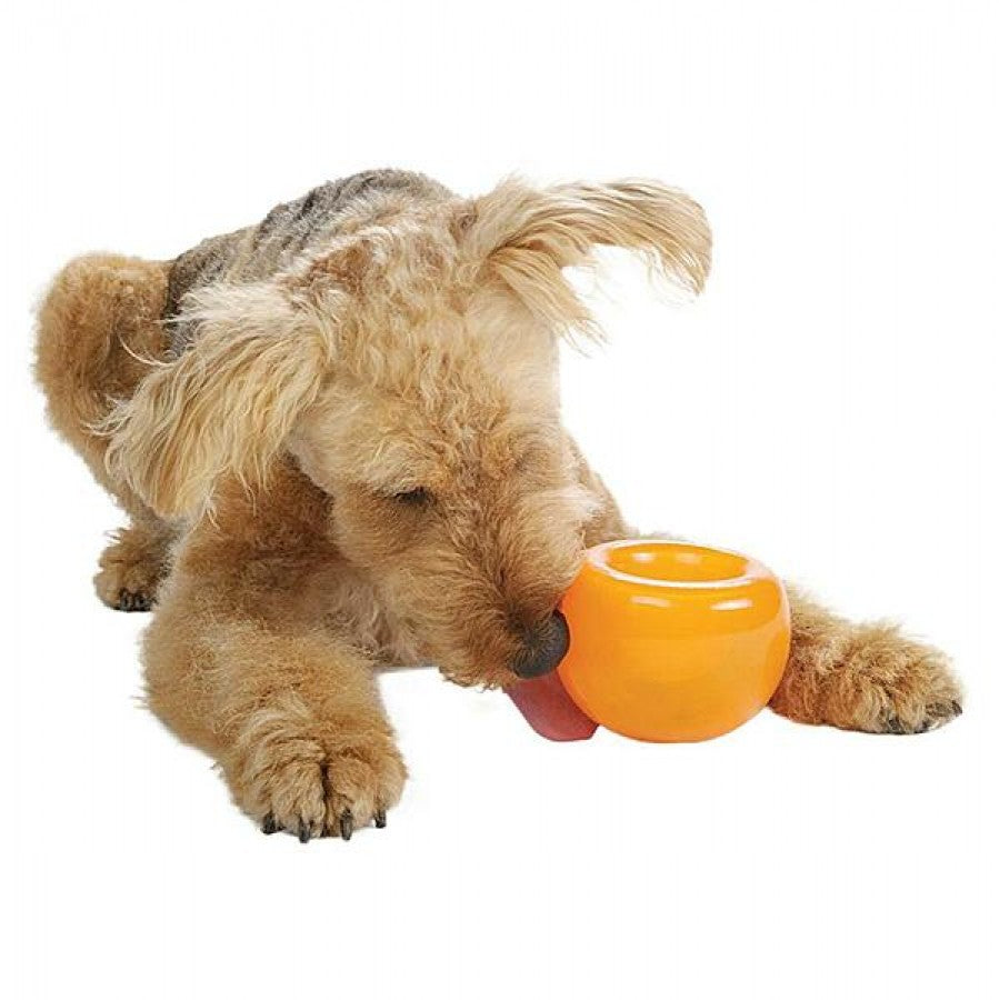 LocalID_64590 Petstages - Orbee Tuff Snoop Dog Toy - ORANGE - 12.7CM (5in)