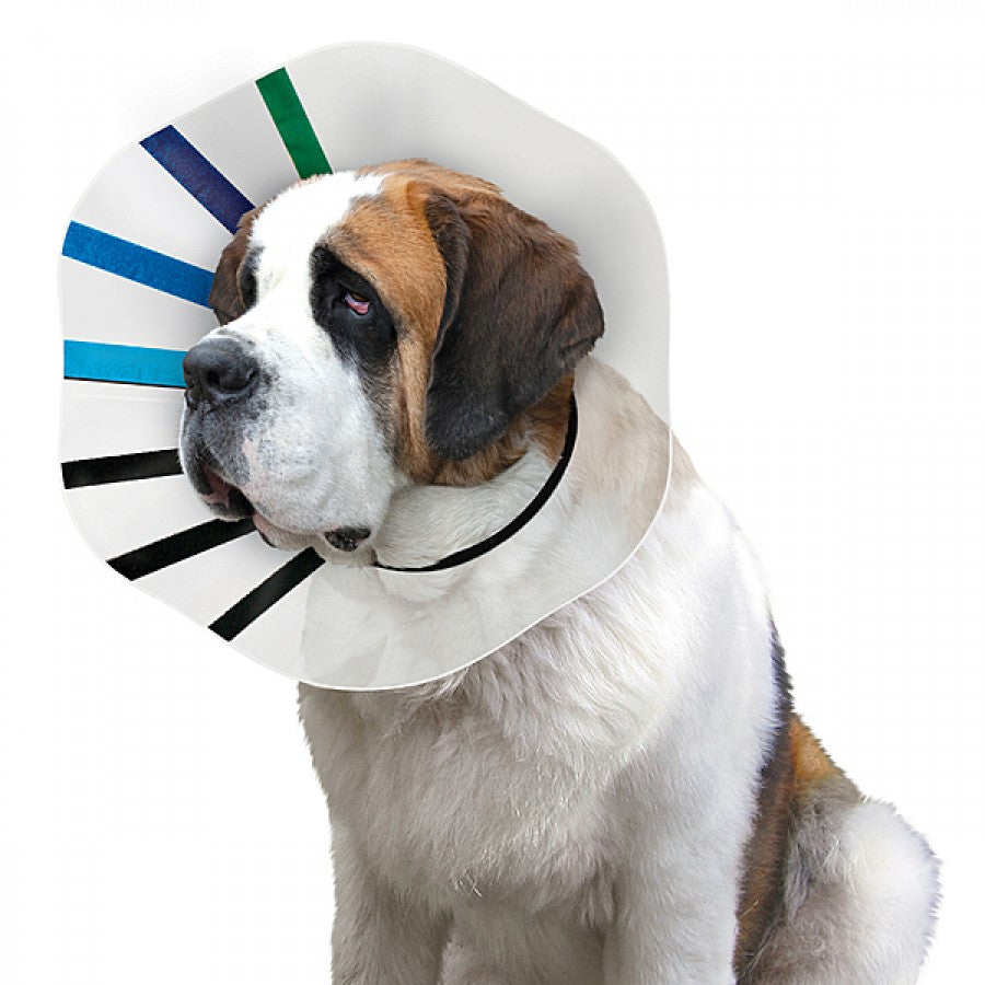 LocalID_70876 Kong - Ez-Clear Collar - XXLARGE - 41-53CM (16-21in)