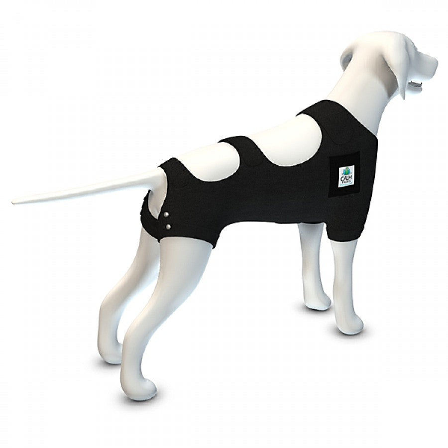 LocalID_66893 Calm Paws - Calming Recovery Vest with Calming Disc - LARGE