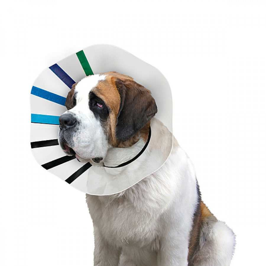LocalID_70873 Kong - Ez-Clear Collar - XLARGE - 33-41CM (13-16in)