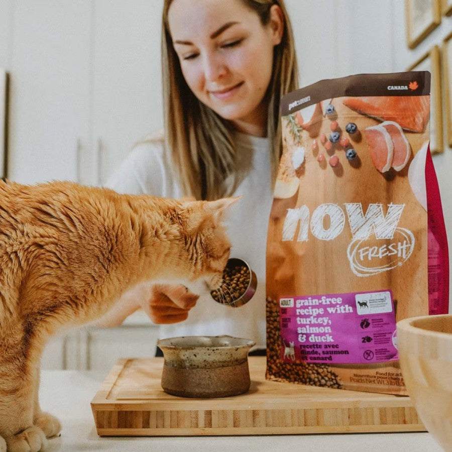LocalID_64970 Petcurean - NOW TURKEY SALMON & DUCK Adult Dry Cat Food - 1.36KG (3lb)