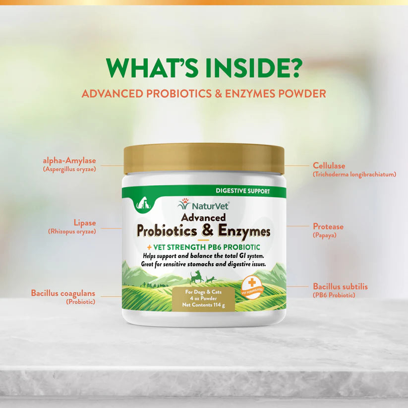 LocalID_70907 NaturVet - Advanced Probiotics & Enzymes Powder - 114GM (4oz)