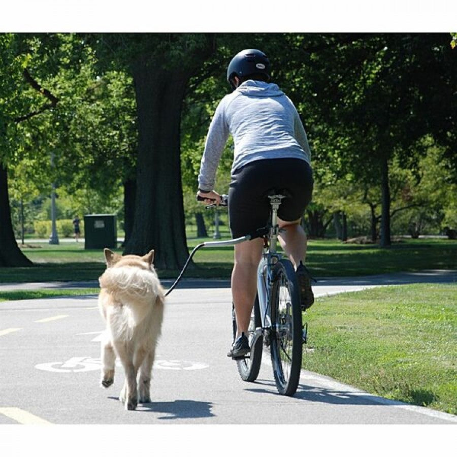 LocalID_70138 Petego - Cycleash Shockless Bicycle Lead