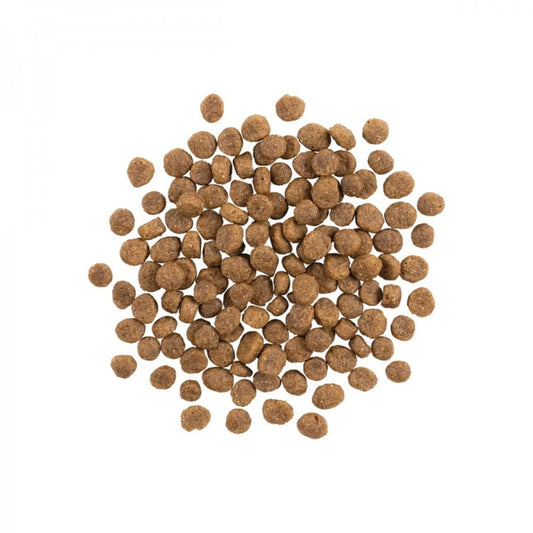 *S.O. - Up to 2 Week Wait* Petcurean - GO! Sensitivities GF LID SALMON SMALL BITES Dry Dog Food - 9.98KG (22lb)