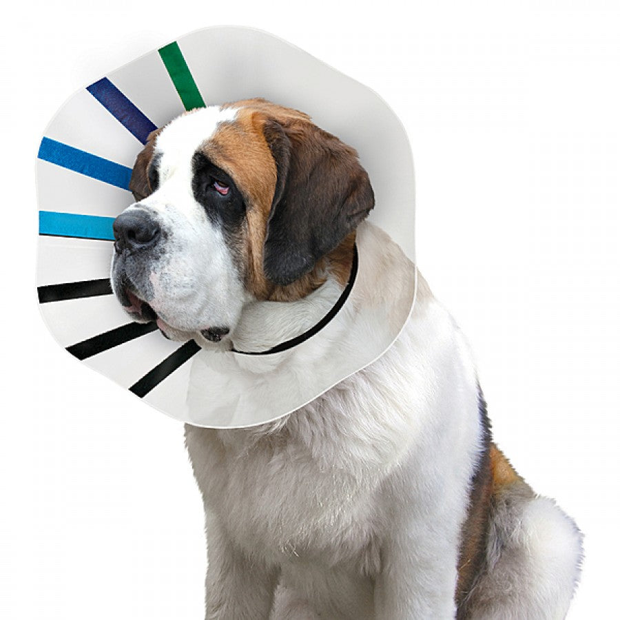 LocalID_70864 Kong - Ez-Clear Collar - LARGE - 25-33CM (10-13in)