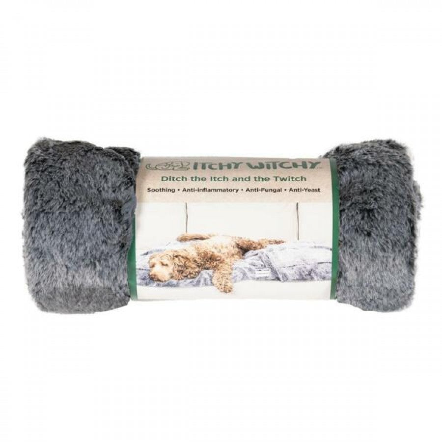 LocalID_71868 Dog Gone Smart - Itchy Witchy Blanket - BLACK - MEDIUM