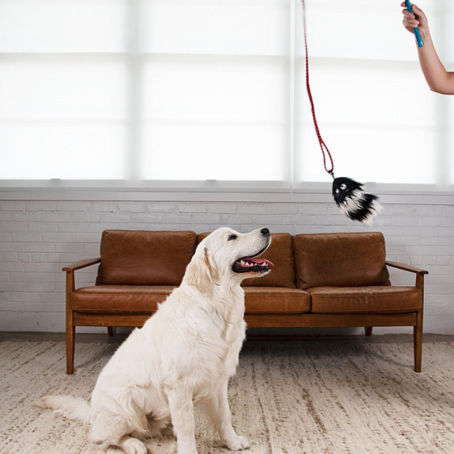 LocalID_65722 Outward Hound - Tail Teaser Wand - Squeak & Rattle Cat Toy - 95CM (37.5in)