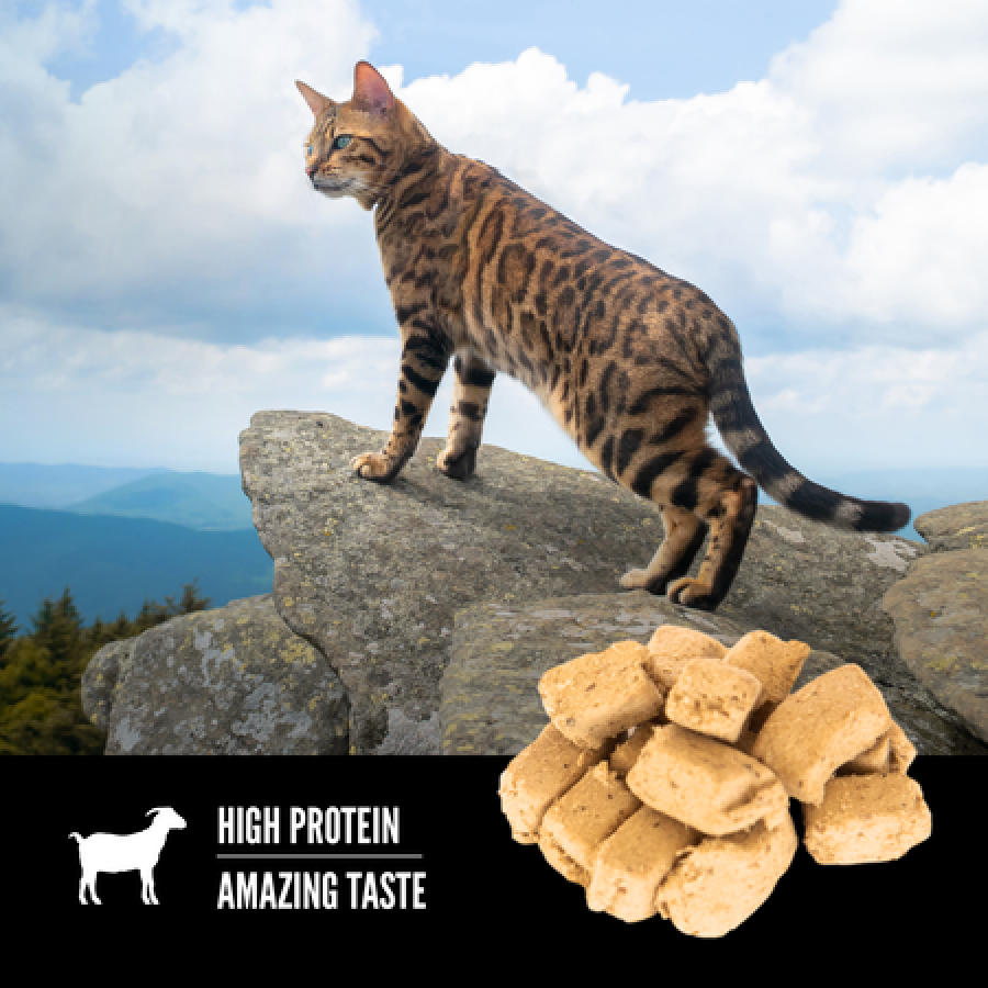 LocalID_65791 Champion Foods - Orijen - Freeze-Dried TUNDRA Cat Treats - 35GM (1.25oz)