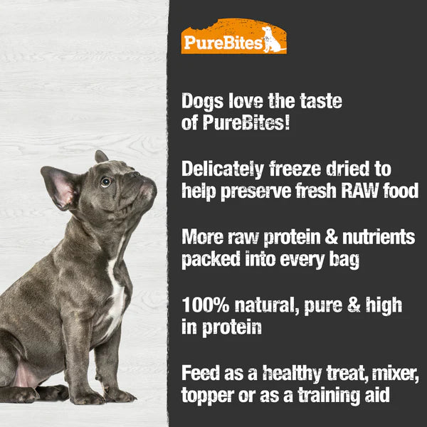 LocalID_68750 Pure Bites - Freeze Dried DUCK Dog Treat - 74GM (2.6oz)