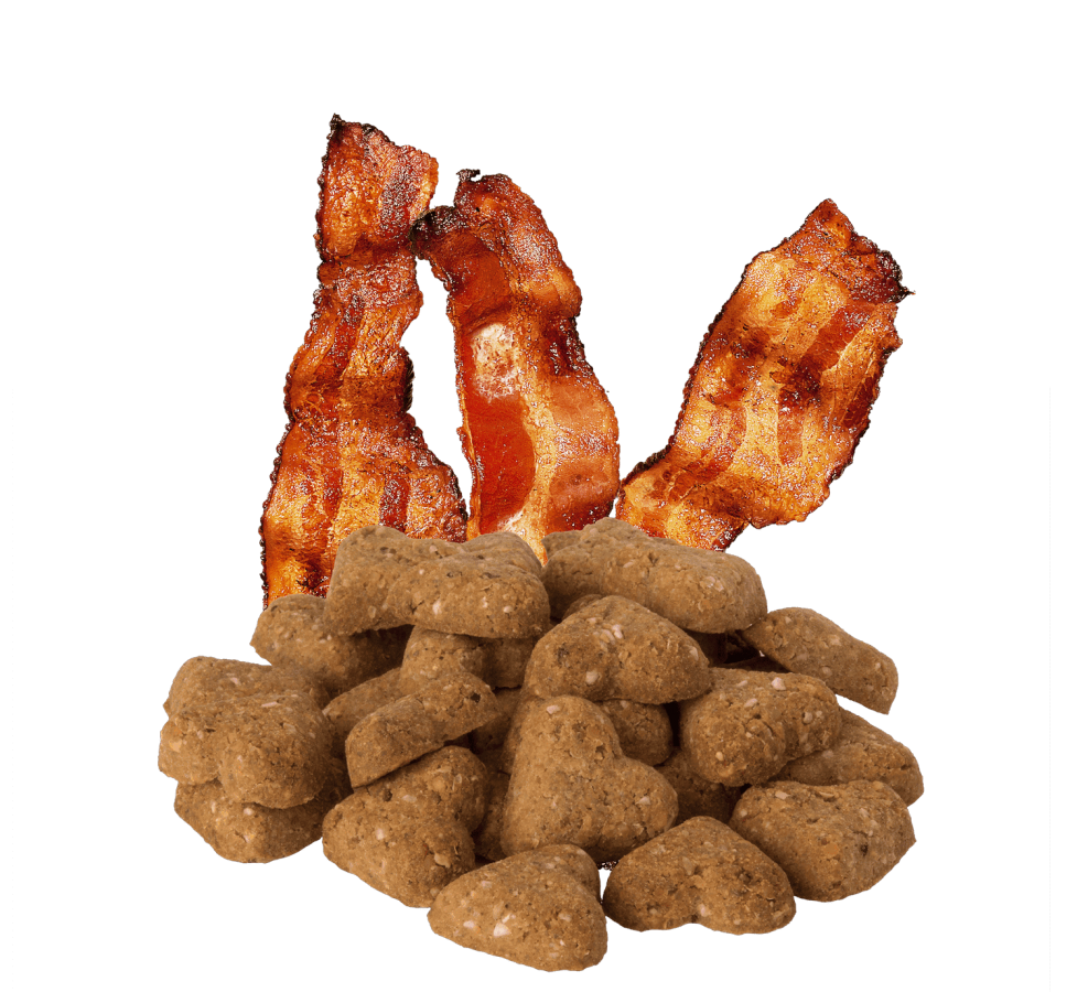 LocalID_68178 Darford - GF BACON Dog Treat - 340GM (12oz)