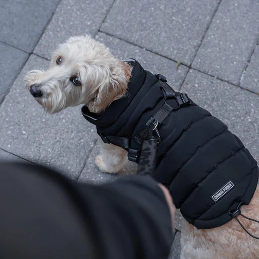 LocalID_66391 *S.O. - Up to 3 Week Wait* Canada Pooch - The Harness Puffer - BLACK - Size 16