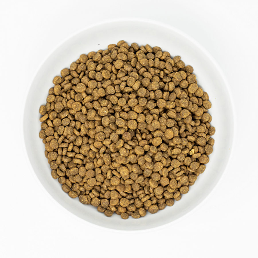 *S.O. - Up to 2 Week Wait* Stella and Chewys - Raw Coated Cage Free DUCK Cat Food - 1.1KG (2.5lb)