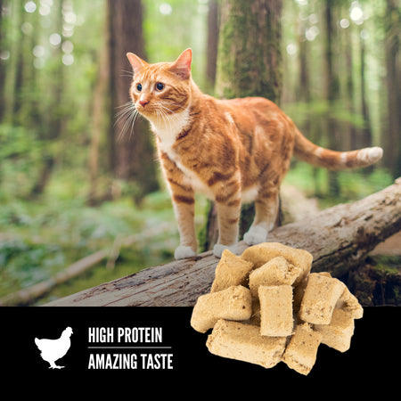 LocalID_65786 Champion Foods - Orijen - Freeze-Dried Treats ORIGINAL Cat Treat - 35GM (1.25oz)