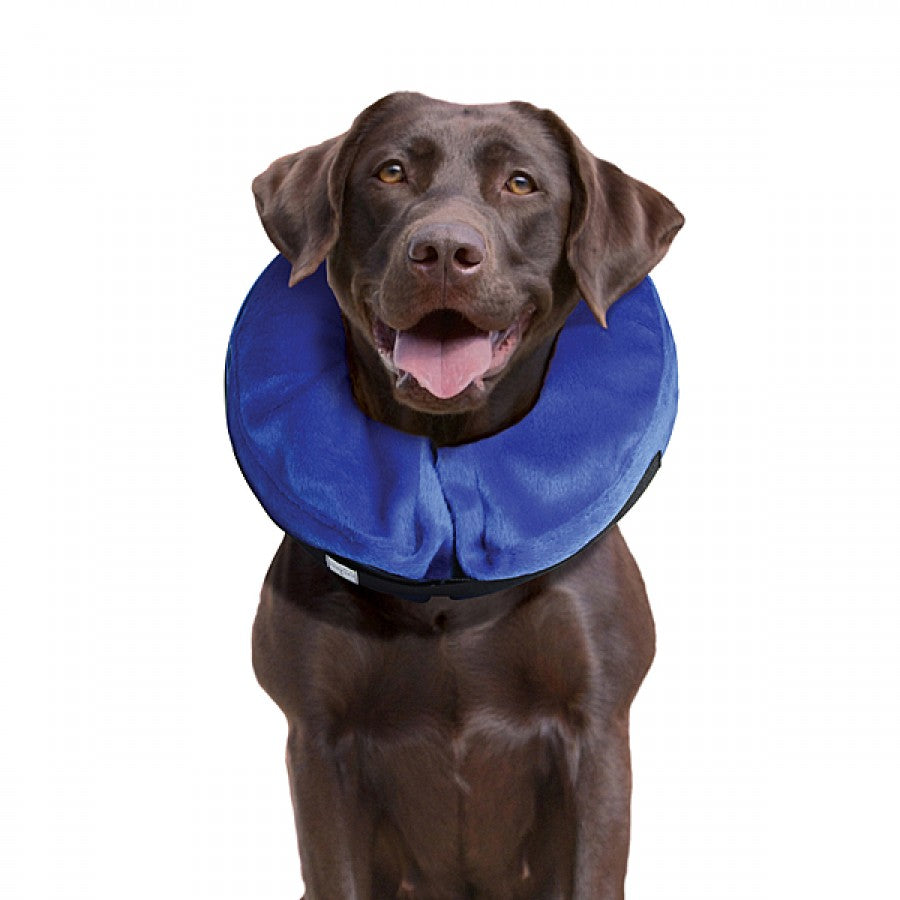 LocalID_70852 KONG - Cloud Inflatable Protective Collar - LARGE - 38-51CM (15-20in)