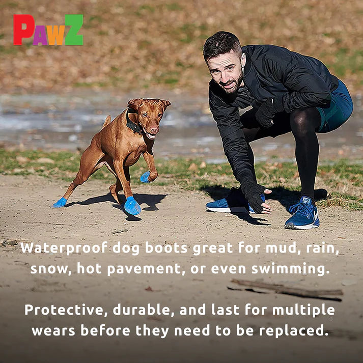 Pawz - Rubber Dog Boots - BLACK - MEDIUM - Up to 7.5CM (3in) - 12PK
