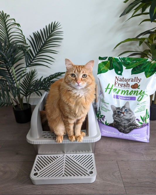 LocalID_69192 Naturally Fresh - Harmony LAVENDER & BAMBOO Cat Litter - 6.35KG (14lb)