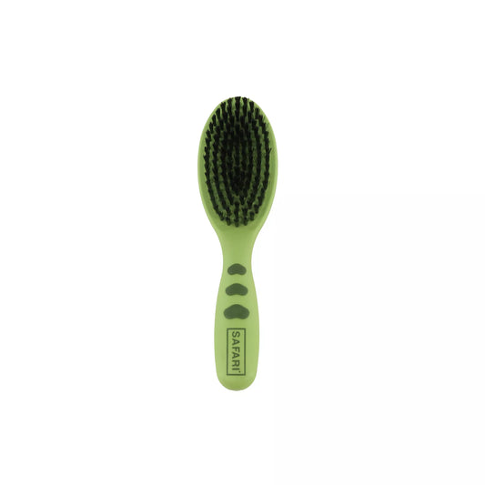 LocalID_71721 Coastal - Safari Bristle Brush - SMALL - 20.5CM (8in)
