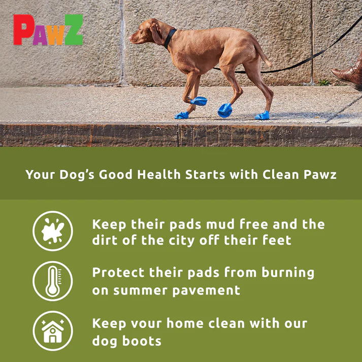 LocalID_66262 Pawz - Rubber Dog Boots - BLUE - MEDIUM - Up to 7.5CM (3in) - 12PK