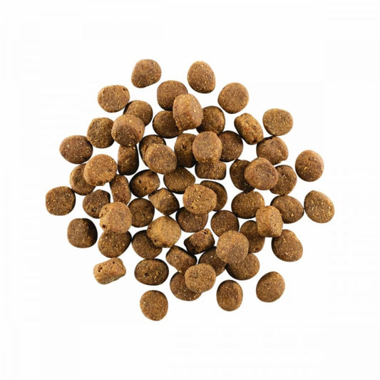 *S.O. - Up to 2 Week Wait* Petcurean - GO! Carnivore GF SALMON AND COD ADULT Dry Dog Food - 9.98KG (22lb)