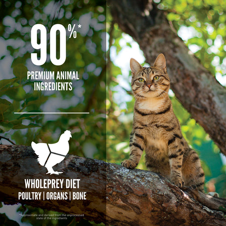 Champion Foods - Orijen GUARDIAN 8 Cat Food - 4.5KG (10lb)