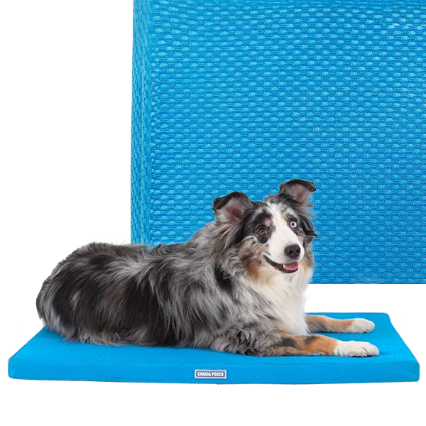 *DISC* Canada Pooch - Chill Out Cooling Mat - BLUE - 81.5x61CM (32x24in)