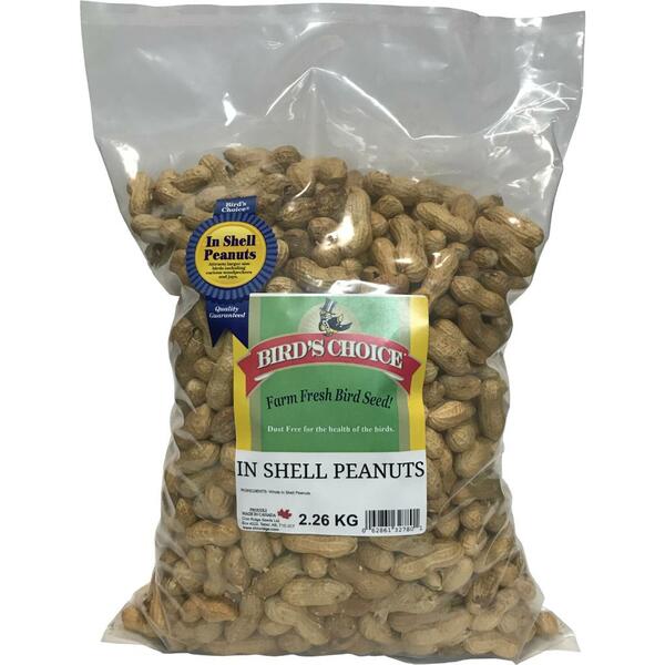 *PREORDER* Chin Ridge Seeds - BC Peanuts in Shell - 2.2KG