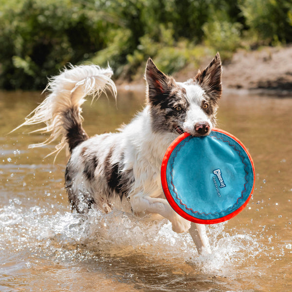 Chuckit! - Paraflight Flyer Dog Toy - LARGE - 25CM (10in)