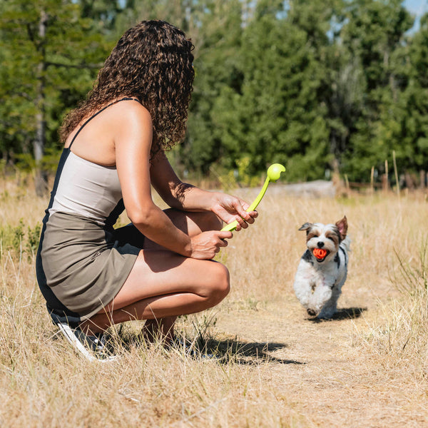 Chuckit! - Sport Launcher Ball Dog Toy - SMALL - 35.6CM (14in)