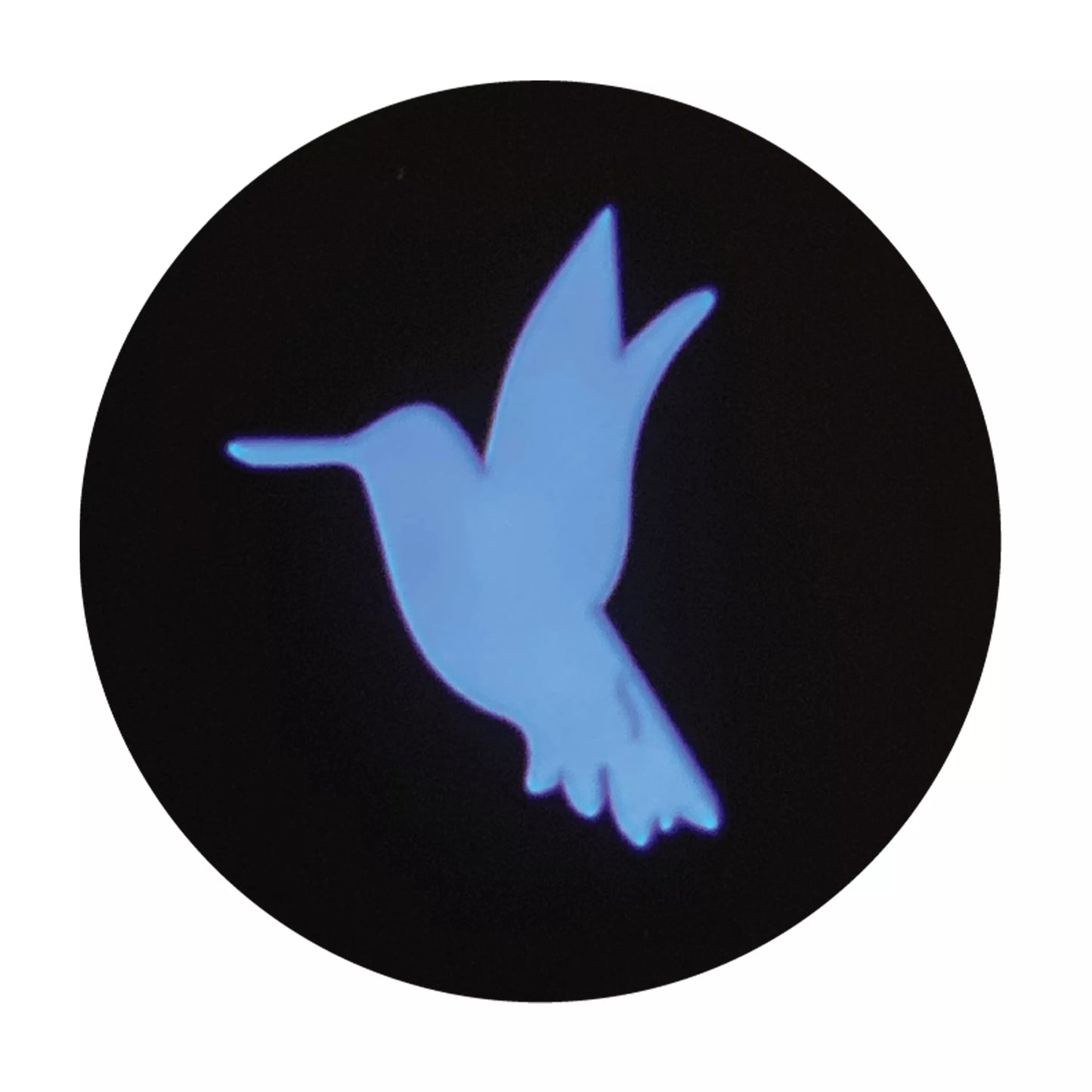 Coastal - Turbo Telescoping Wand with LED Pointer Cat Toy