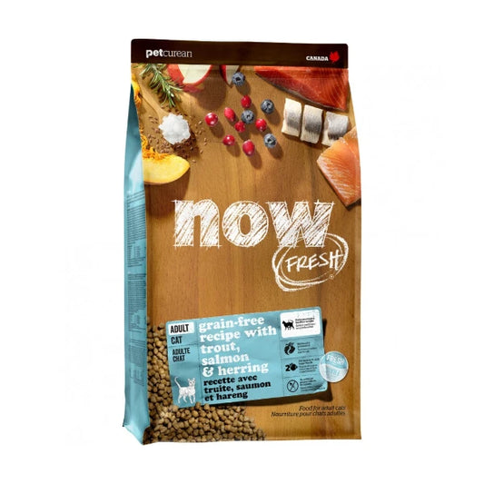 Petcurean - NOW TROUT SALMON and HERRING Adult Dry Cat Food