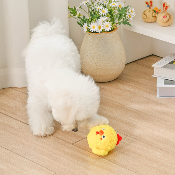 Hugsmart - Super Ball Farm Friendz 2-in-1 Chick Dog Toy