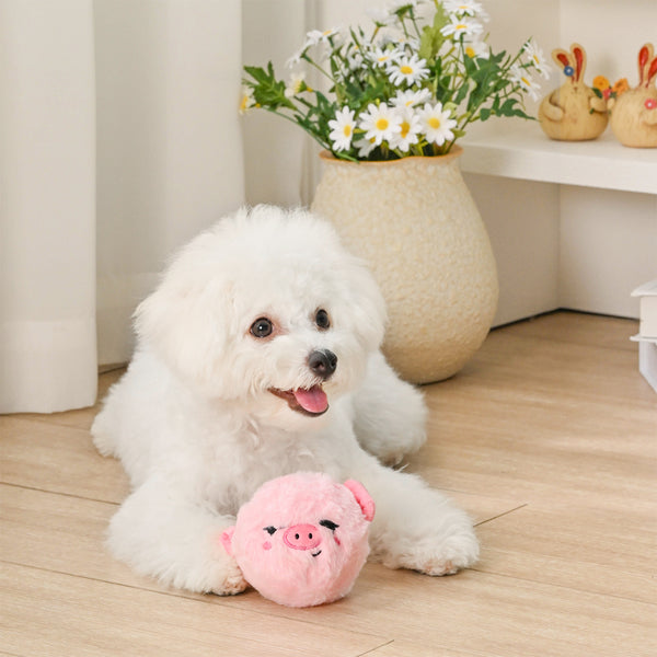Hugsmart - Super Ball Farm Friendz 2-in-1 Pig Dog Toy