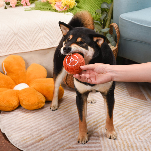Hugsmart - Super Ball Food Party Ham Dog Toy