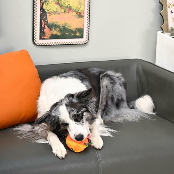 Hugsmart - Super Ball Picnic Time Orange Ball Dog Toy
