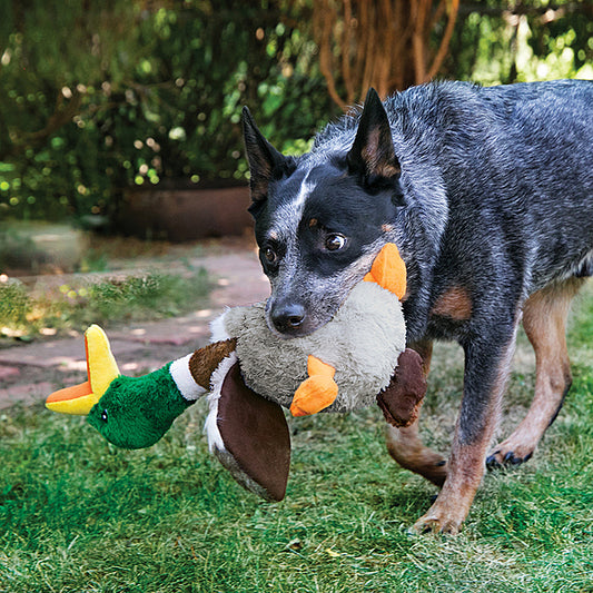 Kong - Shakers Honkers DUCK Squeak Dog Toy - LARGE - 47CM (18in)