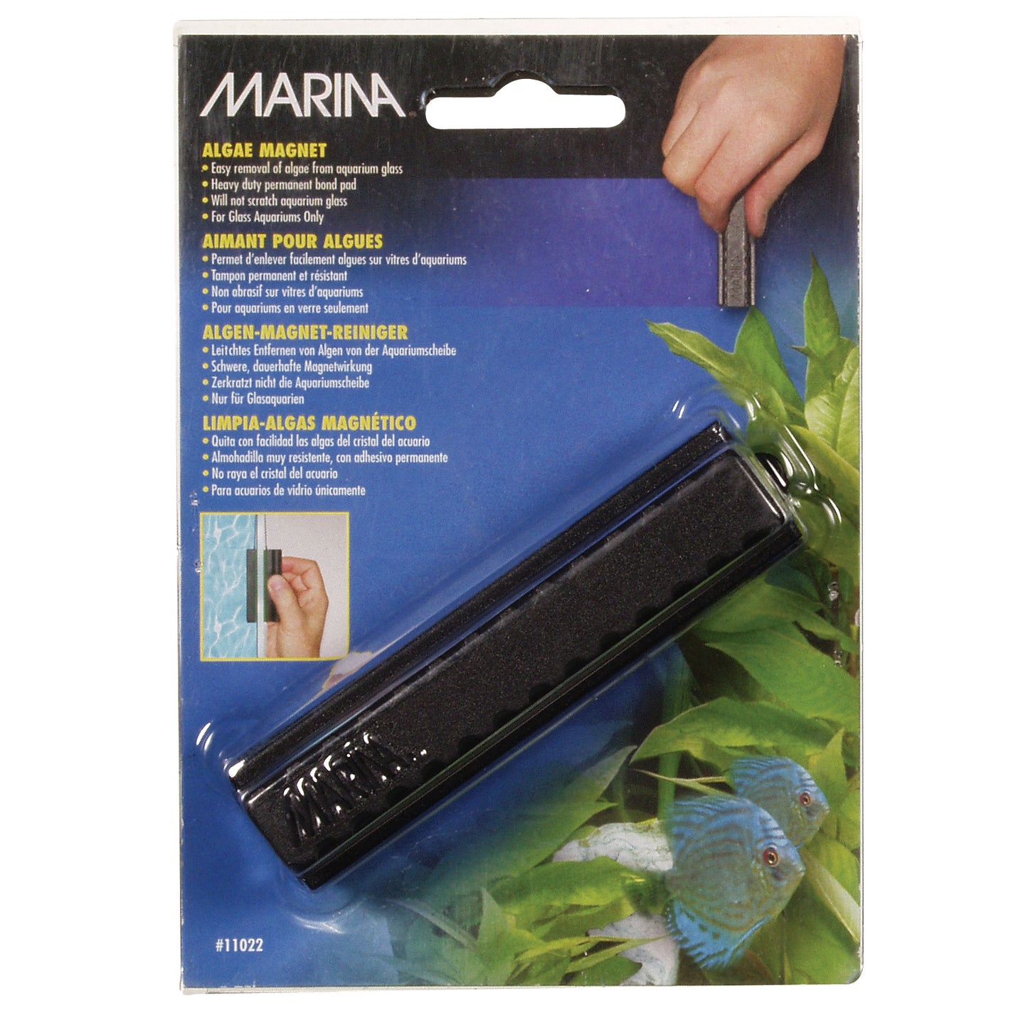 Marina - Algae Magnet - MEDIUM