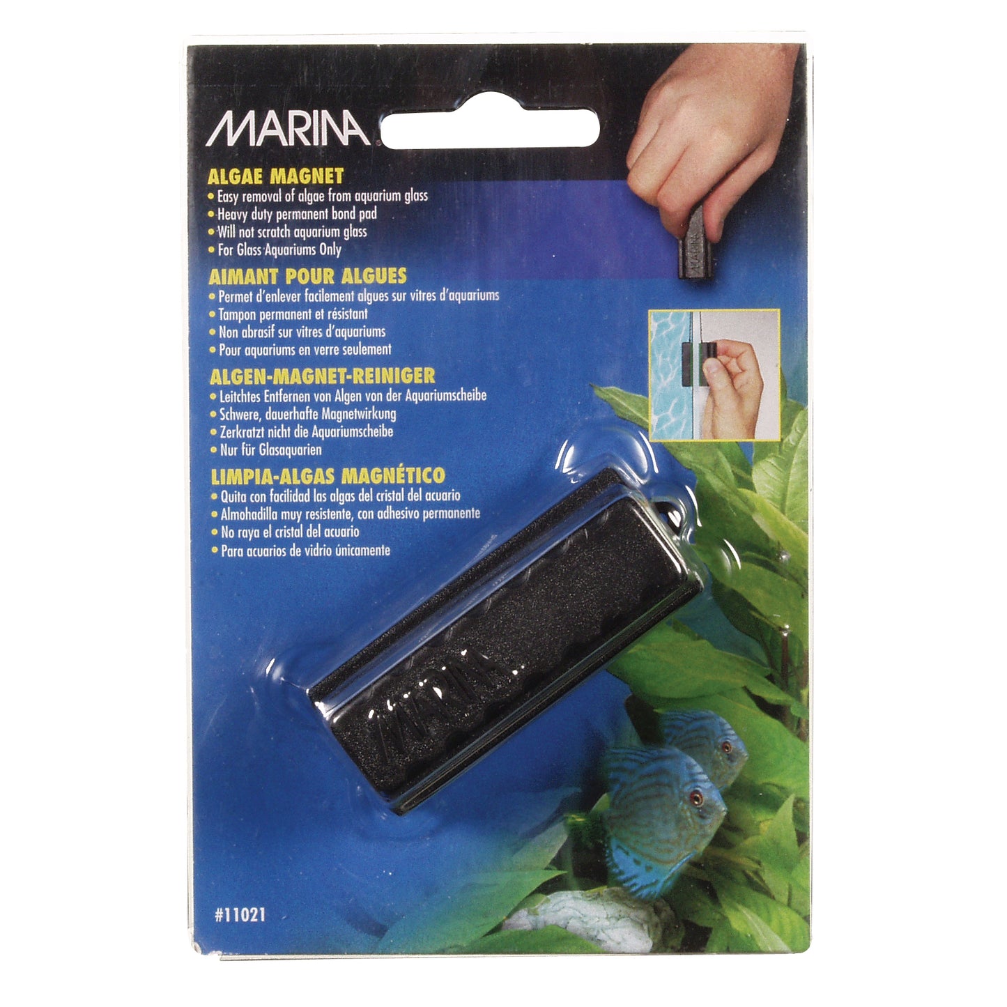 Marina - Algae Magnet - SMALL