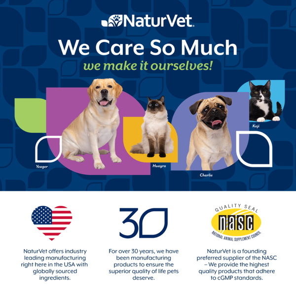 *PREORDER* NaturVet - Dual Action Gut Health + Allergy Soft Chew for Dogs - 180GM (6.3oz) - 60CT