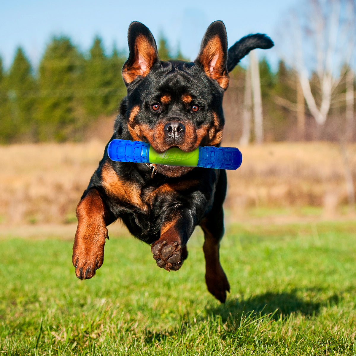 *DISC* Nerf - EXO Squeak Stick Dog Toy - 20.5CM (8in)