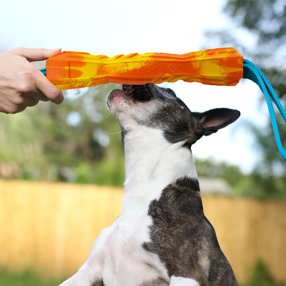 *DISC* Nerf - Megaton Competition Stick Dog Toy - 26CM (10in)