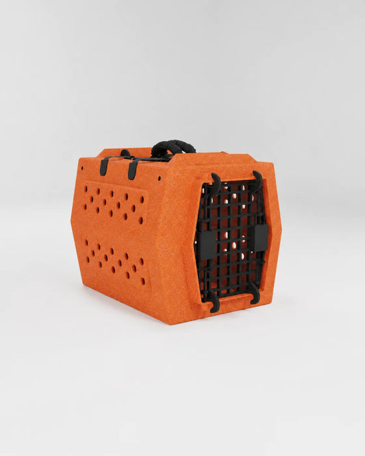 **PRE-ORDER** Limited Edition Orange