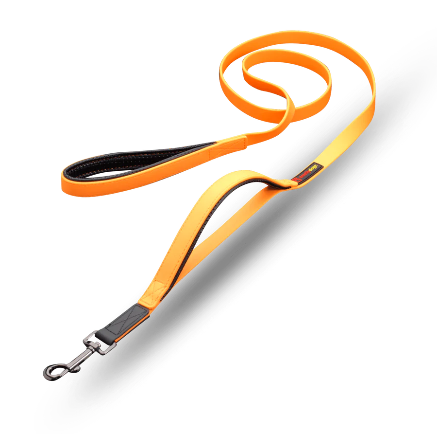 Smellydogz - Double Handle Lead - ORANGE - 2CM (0.75in) Width - 183CM (6ft)