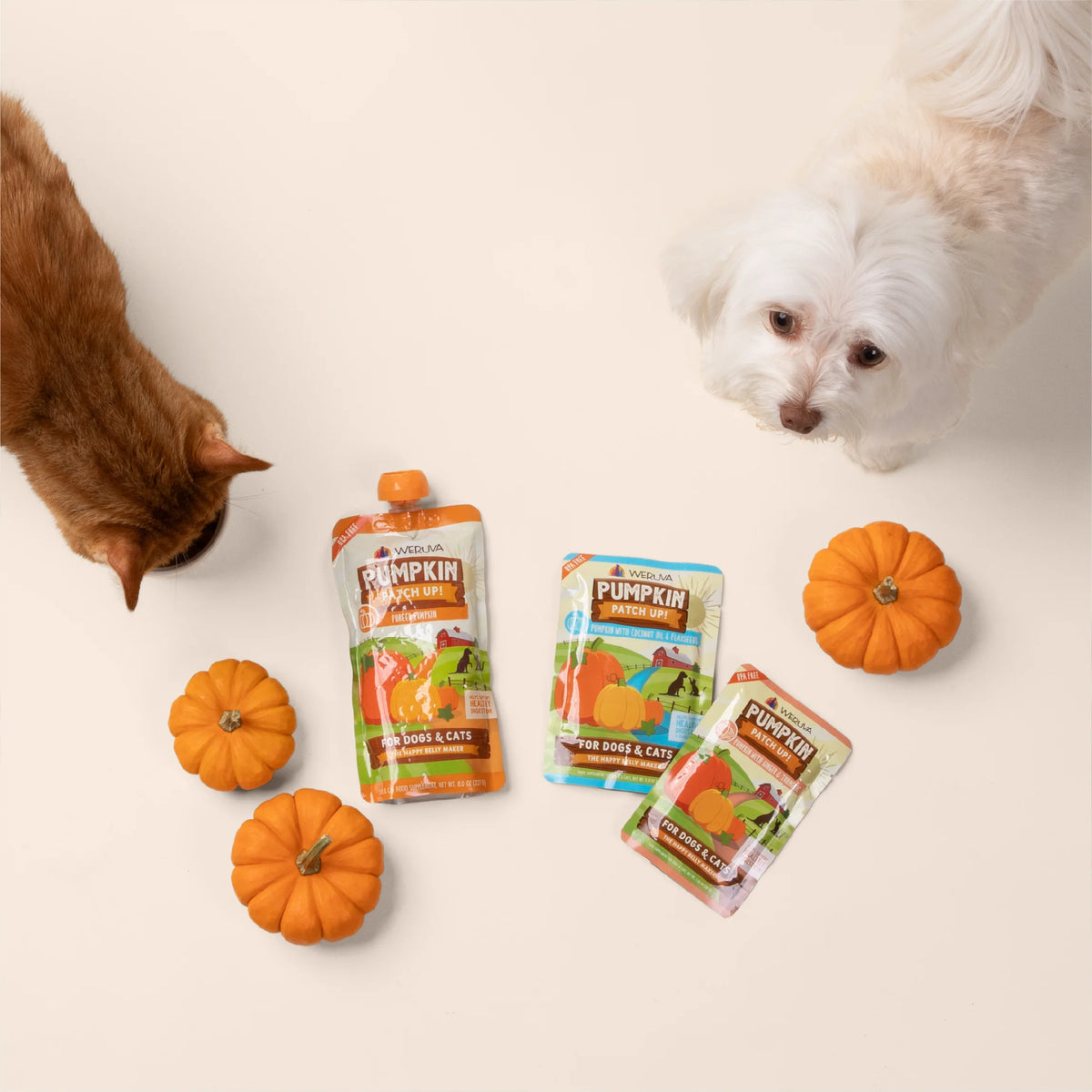 Weruva - PUMPKIN Patch Up with GINGER & TURMERIC for Dogs and Cats - 30GM (1.05oz)