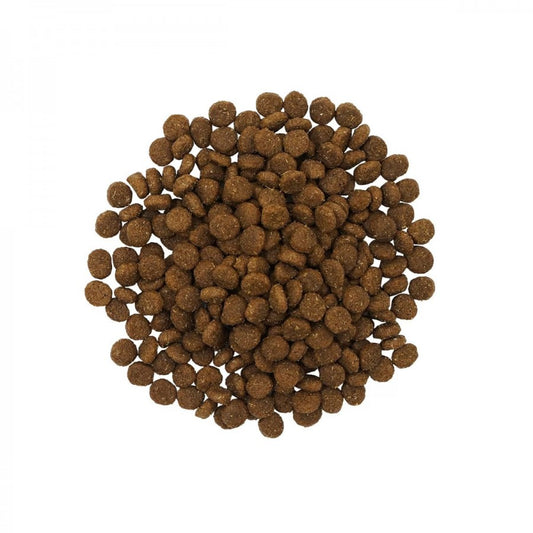 *S.O. - Up to 2 Week Wait* Petcurean - GO! Skin and Coat SALMON LARGE BREED PUPPY Dry Dog Food - 5.44KG (12lb)