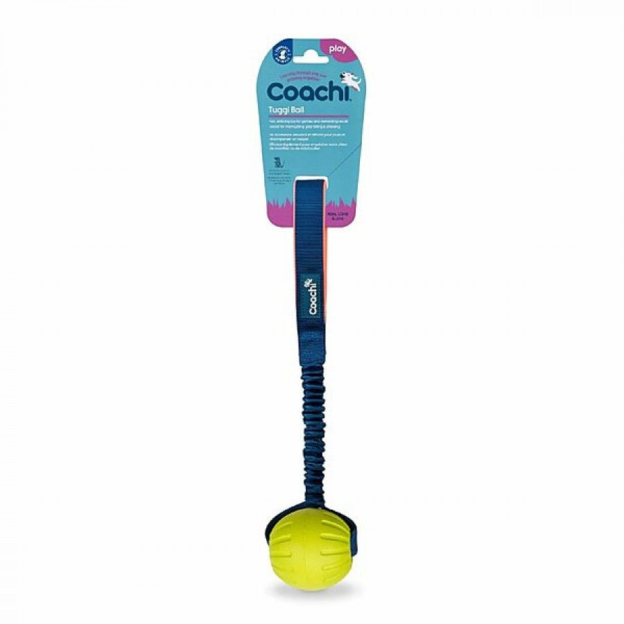 LocalID_71950 Company Of Animals - Coachi - Play Tuggi Ball